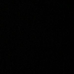 Meet your Posher, Riley